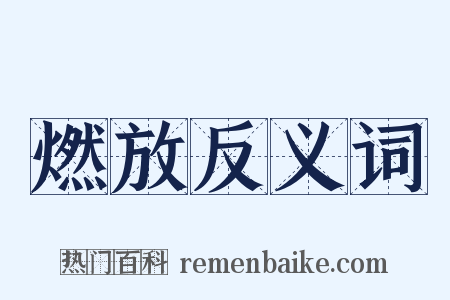 燃放反义词是什么意思的图片